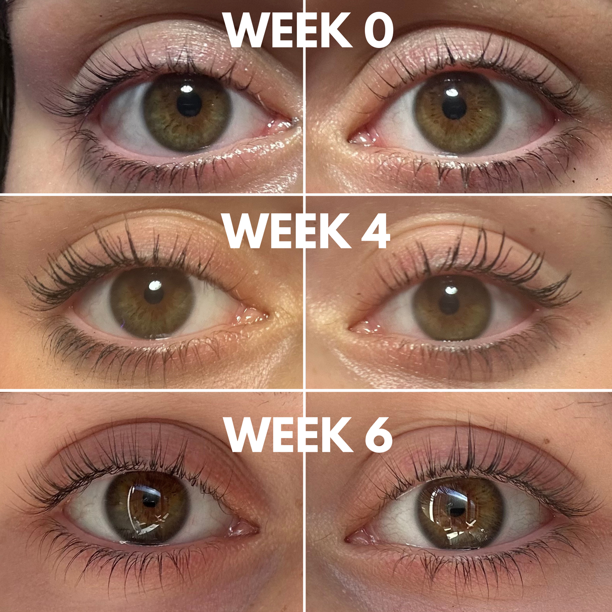Lash Growth Serum with Multi-Peptides & Biotin
