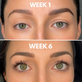 Lash Revival Set – 3 Step Lash Growth System